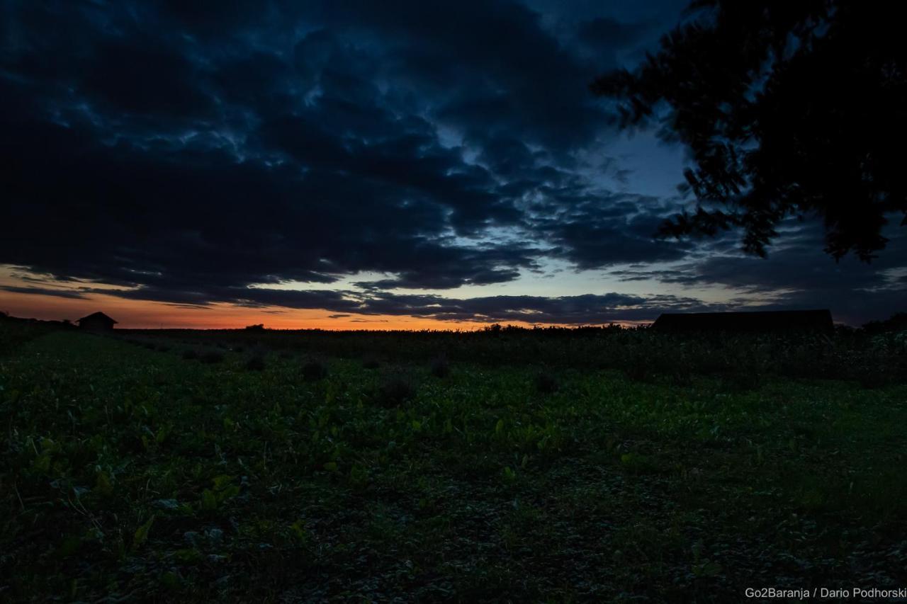 Pannonia Terranova Hotel Várdaróc Kültér fotó